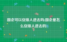国企可以安排人进去吗(国企是怎么安排人进去的)