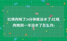 红烧肉炖了20分钟就没水了(红烧肉炖到一半没水了怎么办)