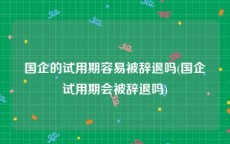 国企的试用期容易被辞退吗(国企试用期会被辞退吗)