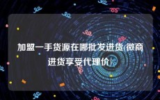 加盟一手货源在哪批发进货(微商进货享受代理价)