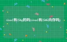 vivos1有256g的吗(vivos1有256G内存吗)