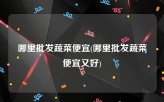 哪里批发蔬菜便宜(哪里批发蔬菜便宜又好)