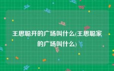 王思聪开的广场叫什么(王思聪家的广场叫什么)