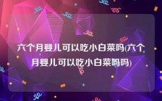 六个月婴儿可以吃小白菜吗(六个月婴儿可以吃小白菜吗吗)