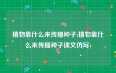 植物靠什么来传播种子(植物靠什么来传播种子课文仿写)