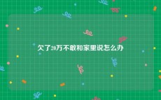 欠了20万不敢和家里说怎么办
