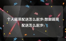 个人蔬菜配送怎么起步(想做蔬菜配送怎么起步)