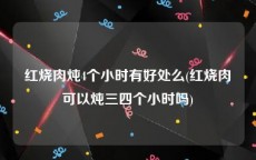 红烧肉炖4个小时有好处么(红烧肉可以炖三四个小时吗)