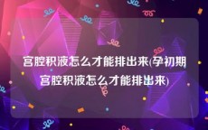 宫腔积液怎么才能排出来(孕初期宫腔积液怎么才能排出来)