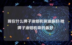 现在什么牌子油烟机吸油最好(啥牌子油烟机吸的最好)