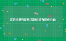 营销渠道有哪些(营销渠道有哪些功能)