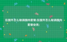 在国外怎么取消国内套餐(在国外怎么取消国内套餐业务)
