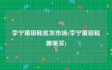 李宁莆田鞋批发市场(李宁莆田鞋哪里买)