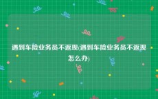 遇到车险业务员不返现(遇到车险业务员不返现怎么办)