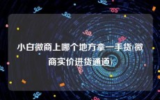 小白微商上哪个地方拿一手货(微商实价进货通道)