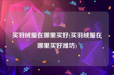 买羽绒服在哪里买好(买羽绒服在哪里买好潍坊)
