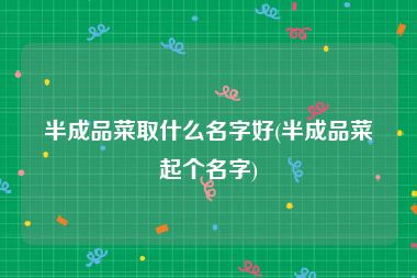 半成品菜取什么名字好(半成品菜起个名字)