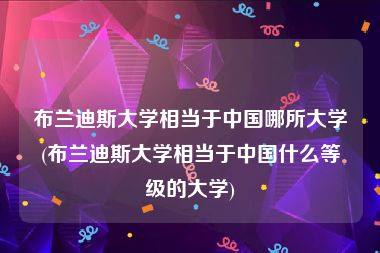 布兰迪斯大学相当于中国哪所大学(布兰迪斯大学相当于中国什么等级的大学)