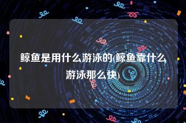 鲸鱼是用什么游泳的(鲸鱼靠什么游泳那么快)
