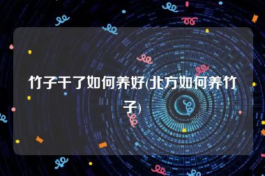 竹子干了如何养好(北方如何养竹子)