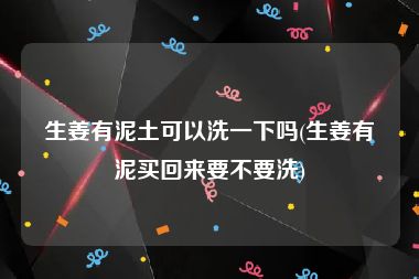 生姜有泥土可以洗一下吗(生姜有泥买回来要不要洗)