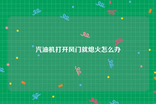 汽油机打开风门就熄火怎么办