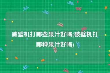 破壁机打哪些果汁好喝(破壁机打哪种果汁好喝)