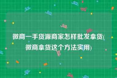 微商一手货源商家怎样批发拿货(微商拿货这个方法实用)