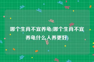 哪个生肖不宜养龟(哪个生肖不宜养龟什么人养更好)