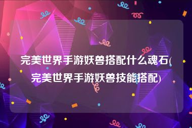 完美世界手游妖兽搭配什么魂石(完美世界手游妖兽技能搭配)