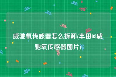 威驰氧传感器怎么拆卸(丰田08威驰氧传感器图片)