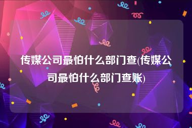 传媒公司最怕什么部门查(传媒公司最怕什么部门查账)