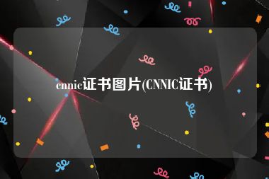 cnnic证书图片(CNNIC证书)