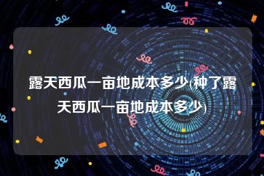 露天西瓜一亩地成本多少(种了露天西瓜一亩地成本多少)