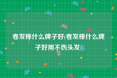 卷发棒什么牌子好(卷发棒什么牌子好用不伤头发)