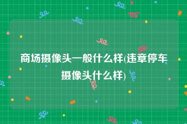 商场摄像头一般什么样(违章停车摄像头什么样)