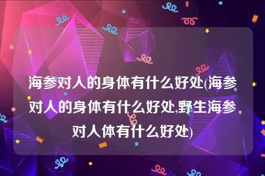 海参对人的身体有什么好处(海参对人的身体有什么好处,野生海参对人体有什么好处)
