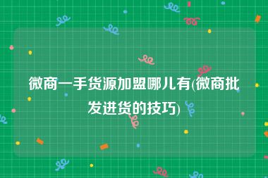 微商一手货源加盟哪儿有(微商批发进货的技巧)