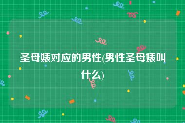 圣母婊对应的男性(男性圣母婊叫什么)