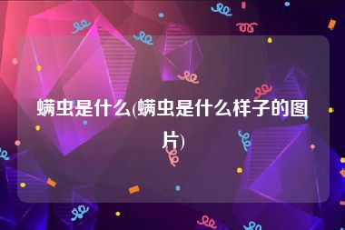 螨虫是什么(螨虫是什么样子的图片)