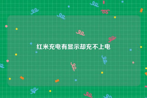 红米充电有显示却充不上电