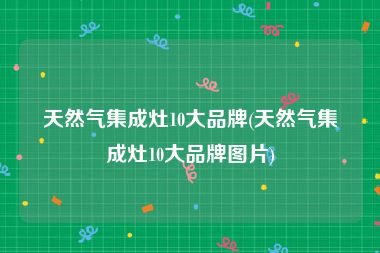 天然气集成灶10大品牌(天然气集成灶10大品牌图片)