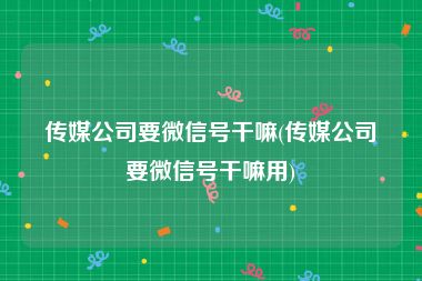 传媒公司要微信号干嘛(传媒公司要微信号干嘛用)