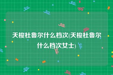 天梭杜鲁尔什么档次(天梭杜鲁尔什么档次女士)