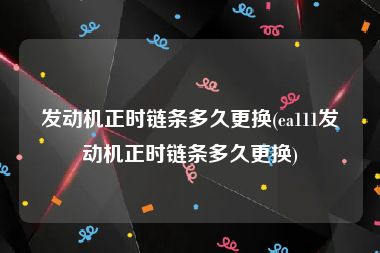 发动机正时链条多久更换(ea111发动机正时链条多久更换)