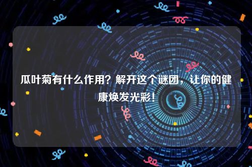 瓜叶菊有什么作用？解开这个谜团，让你的健康焕发光彩！
