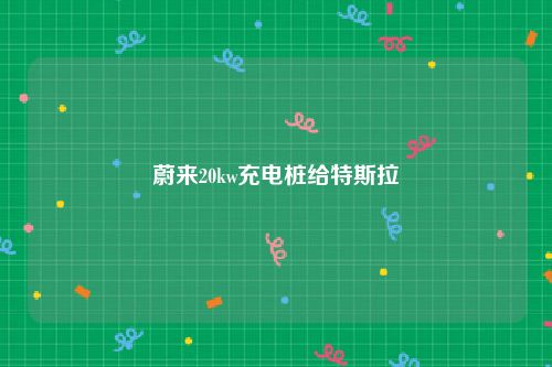 蔚来20kw充电桩给特斯拉