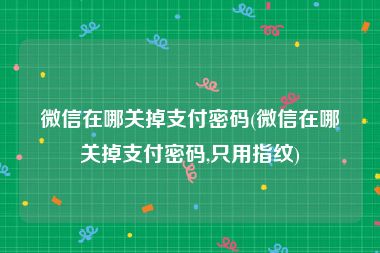 微信在哪关掉支付密码(微信在哪关掉支付密码,只用指纹)