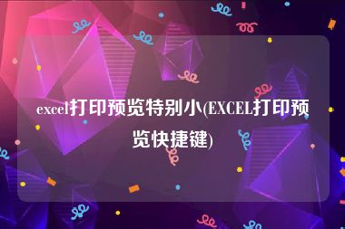 excel打印预览特别小(EXCEL打印预览快捷键)