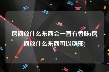 房间放什么东西会一直有香味(房间放什么东西可以辟邪)